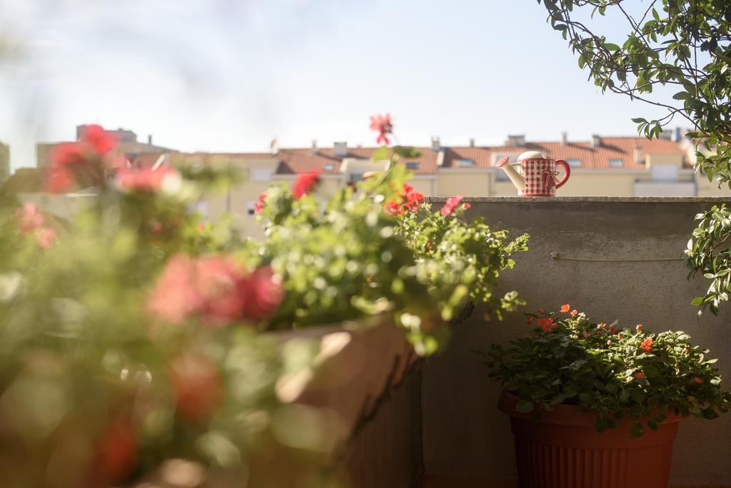 Basic Apartman * Zadar